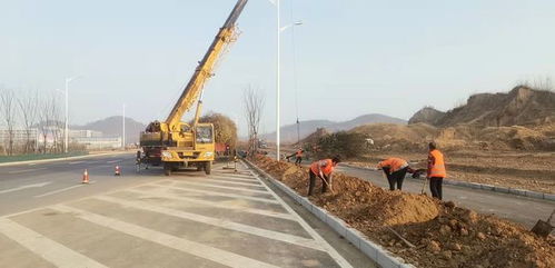 枣庄新城市政建设施工忙 建设工程施工如火如荼